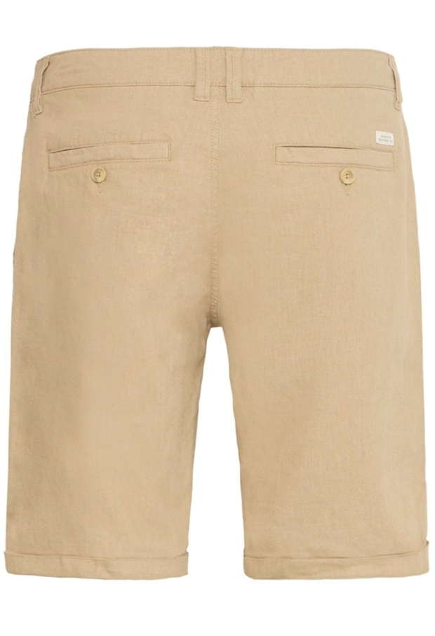20720489 Cornstalk