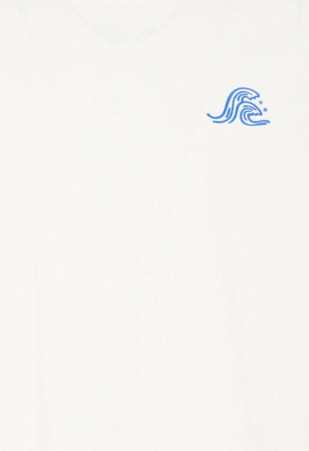20720851 wit
