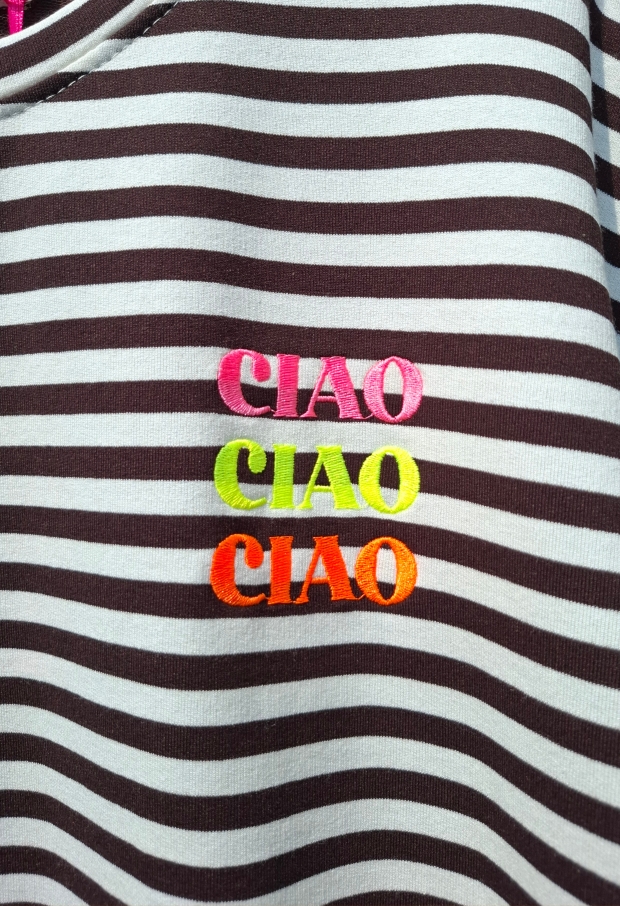 Streep t-shirt ciao Bruin 