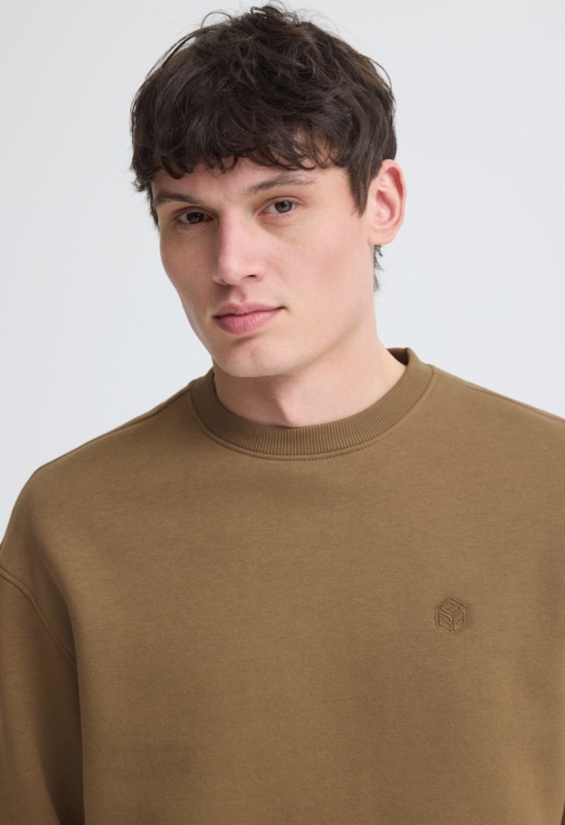 20720783 camel