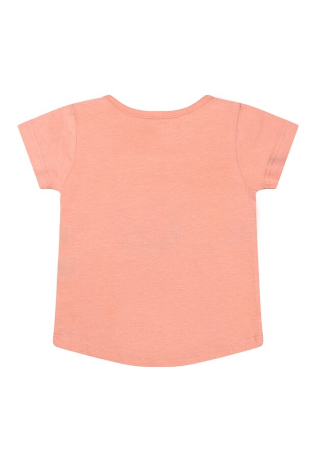 Z70325/Taylor PERZIK