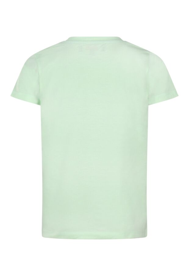 Z70252/2617606 fel groen 