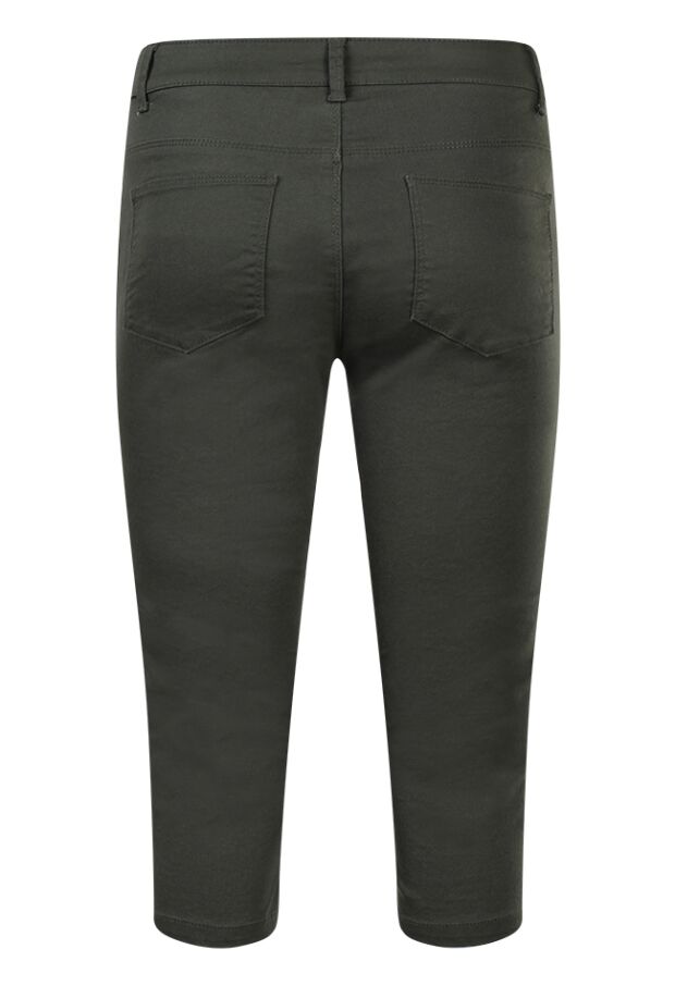 Z70419 /CX20077R2 ARMY