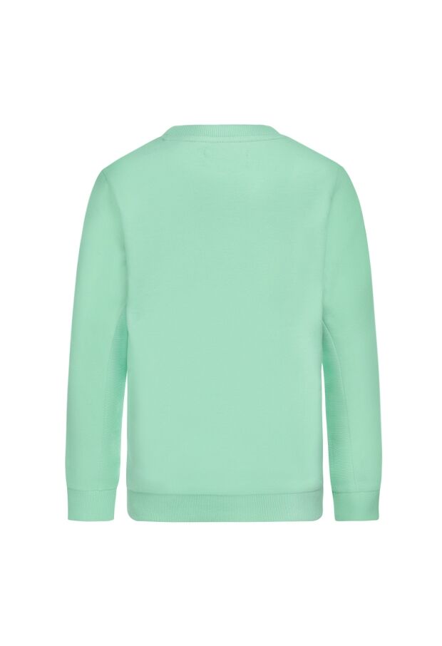 T46761-45 mint groen