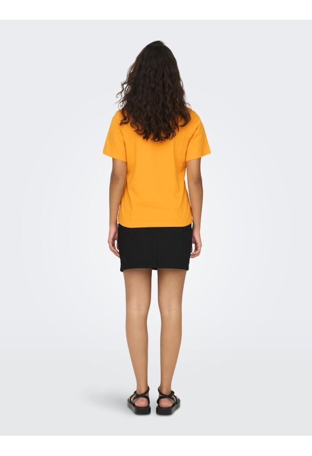 15292431 Apricot 