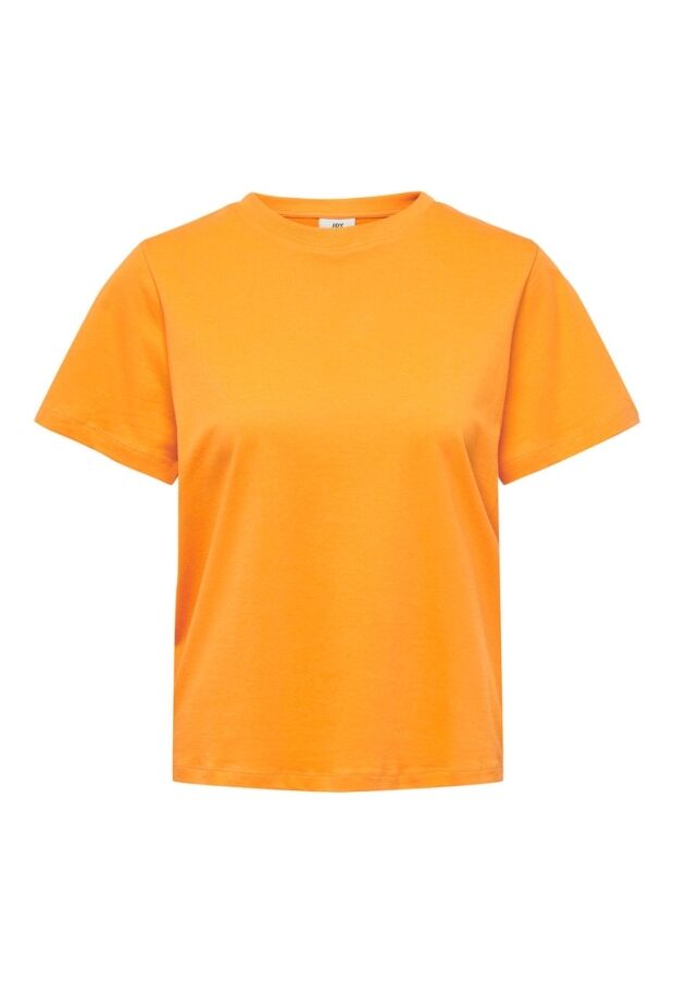 15292431 Apricot 