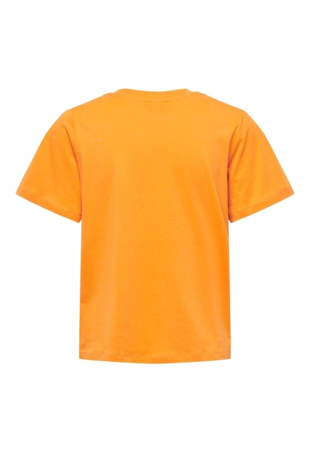15292431 Apricot 
