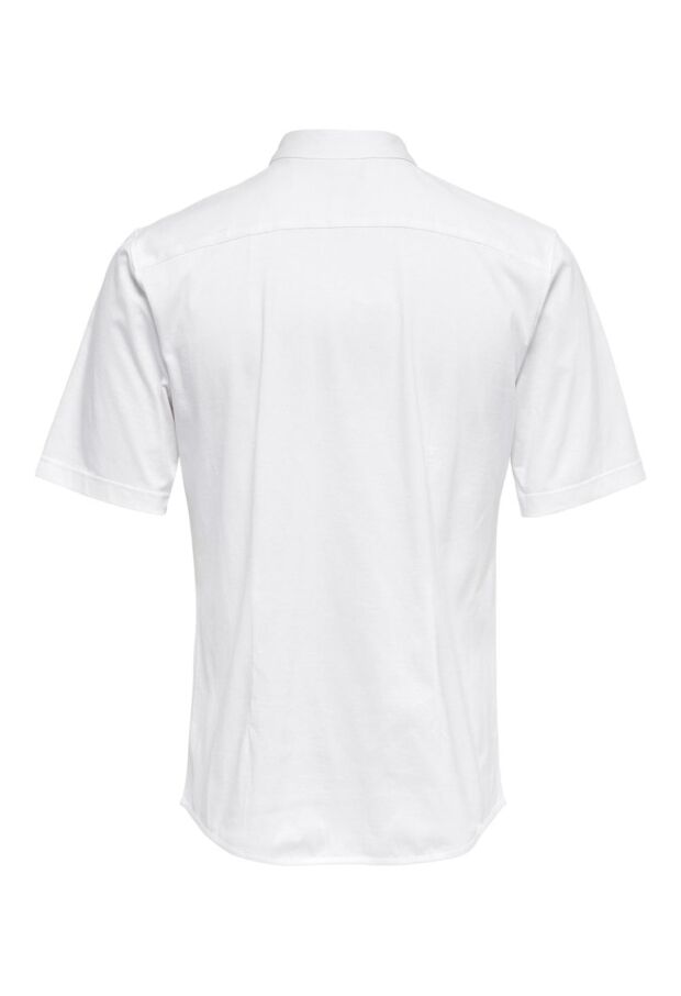 22021966 White