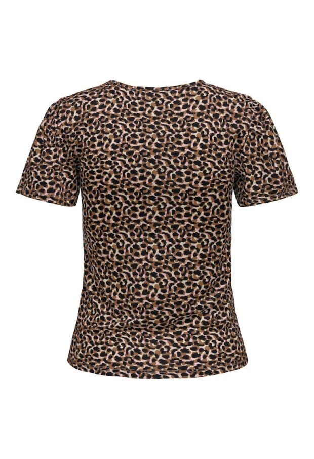 15295607 Toasted Coconut/CHOCOLATE TORTE HOU