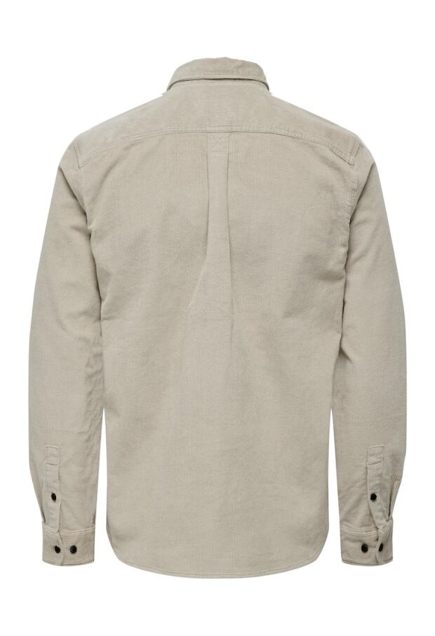 22026296 Silver Lining 