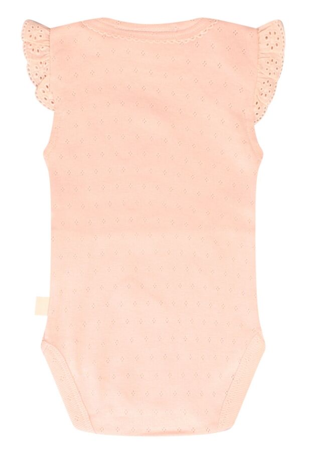 Z80294/2816901 LICHT ROSE