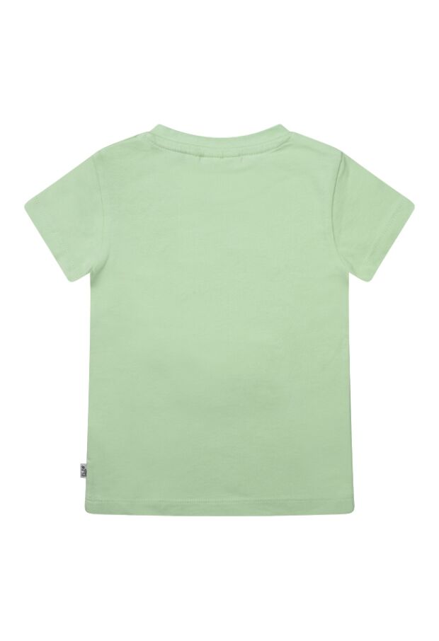 Z80147/2815606 Pastel Groen