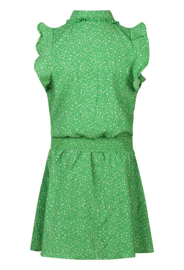 Z80035/2810705 APPEL GROEN