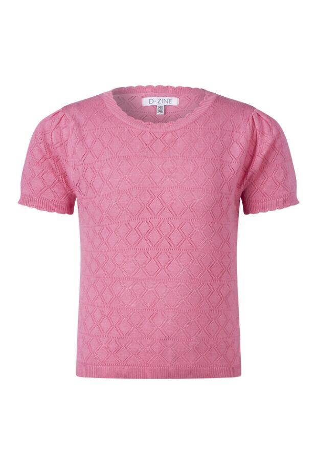 Z80079/Pessa ROSE 