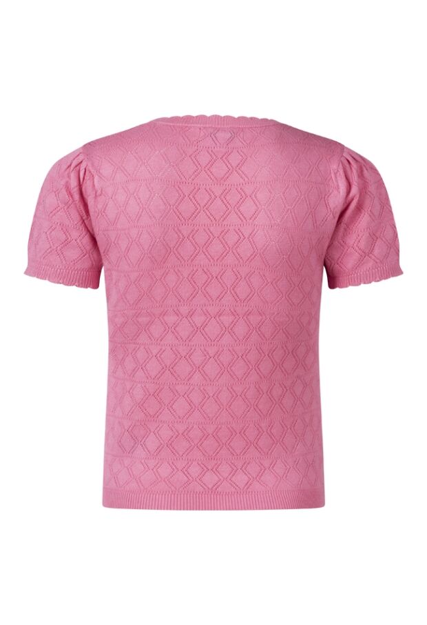 Z80079/Pessa ROSE 