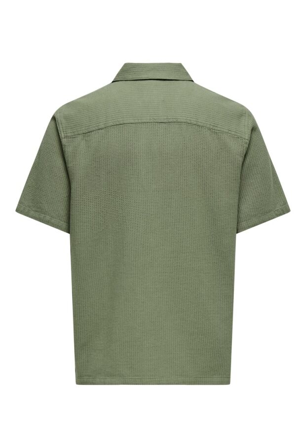 22032054 Deep Lichen Green
