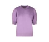 Kleur paars