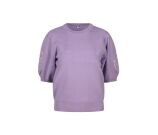 Kleur paars