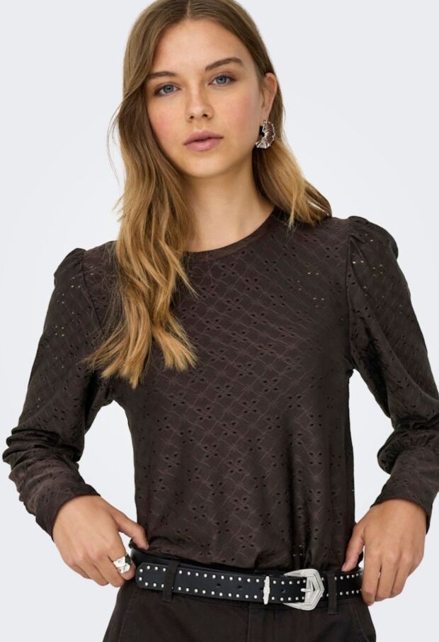 15320573 Chocolate Torte