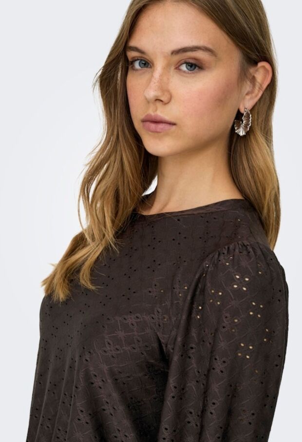 15320573 Chocolate Torte