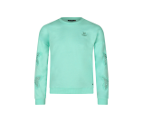 Kleur groen
