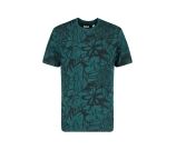 Kleur 