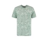 Kleur 