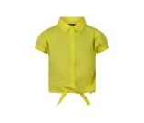 Kleur groen