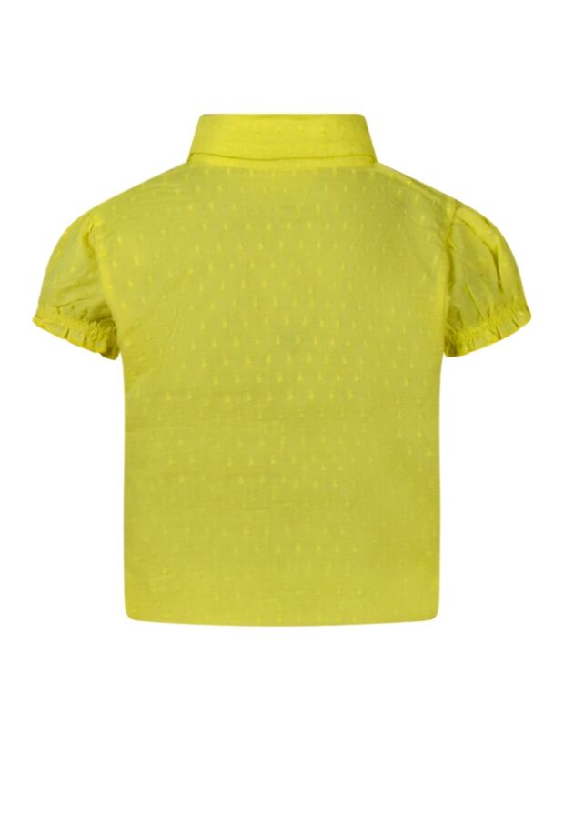 Z90092/3010504 lime 