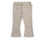 Kleur beige