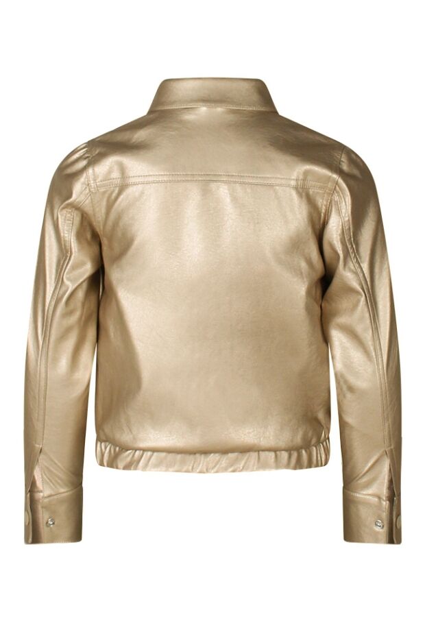 Z90234/3010105 champagne 