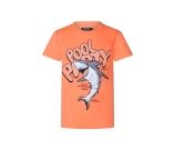 Kleur oranje