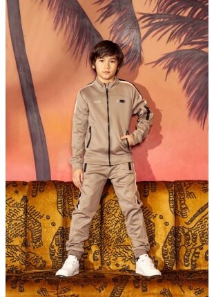 Z90231/Silvan taupe 