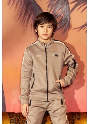 Z90233/Sepford taupe 