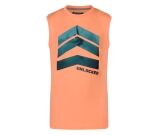 Kleur oranje