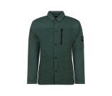 Kleur groen