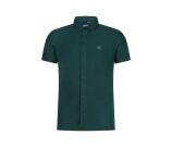 Kleur groen