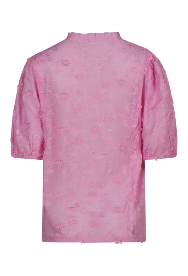 Z90573/Evie ROSE 