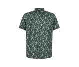 Kleur groen