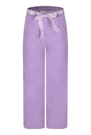 Citylife Z90464/505477A DONKER LILA  sunlit allium