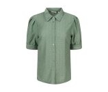 Kleur groen