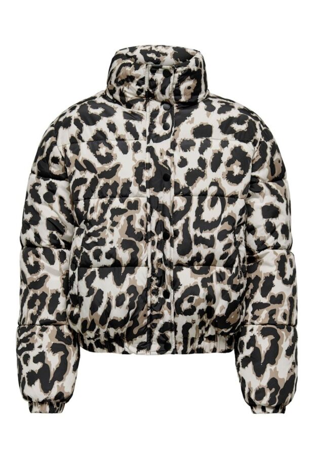 15353988 Moonbeam/TIGERS EYE-BLACK LEO