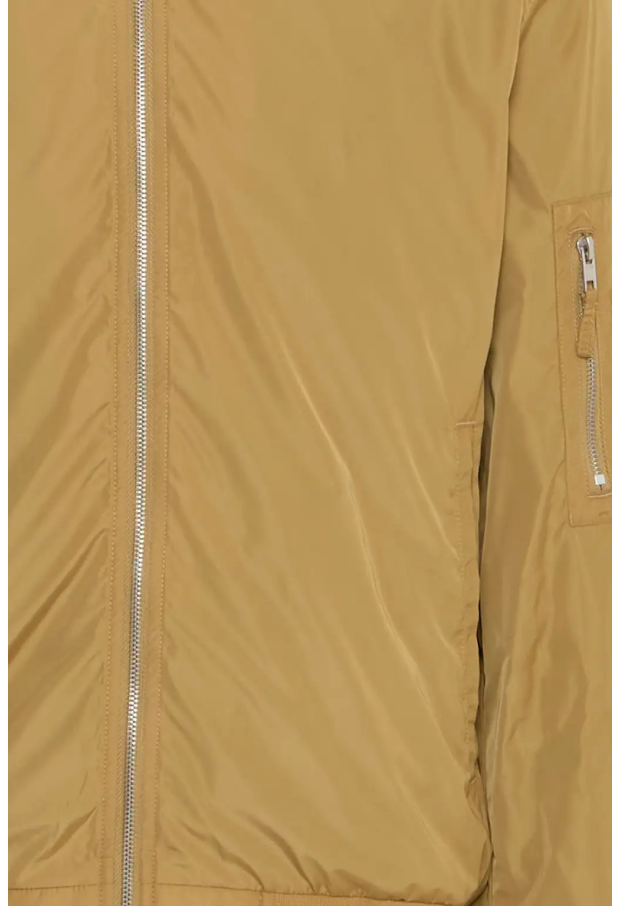 20718243 camel 