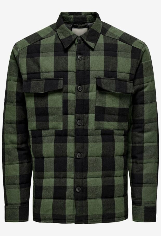 22035332 Forest Night