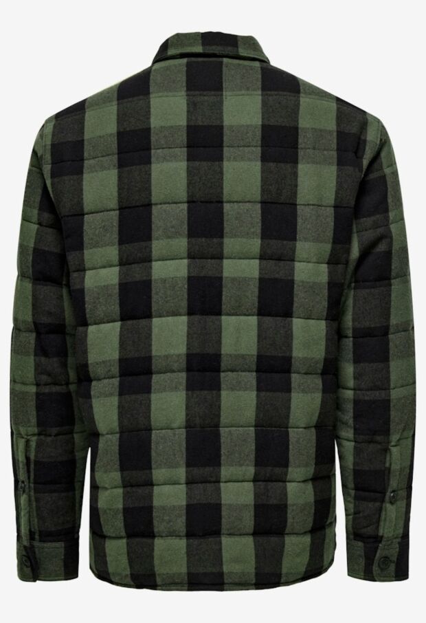 22035332 Forest Night