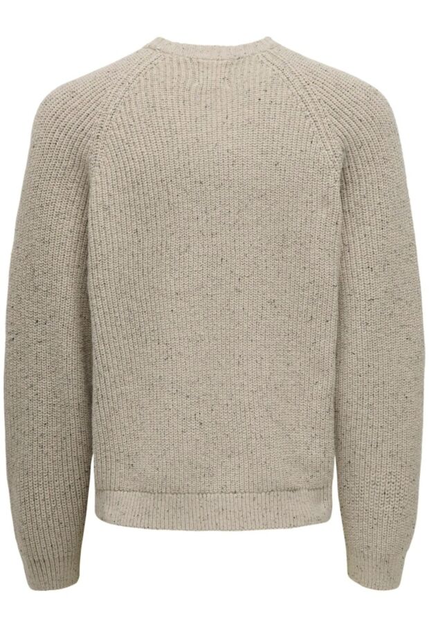 22031001 Silver Lining