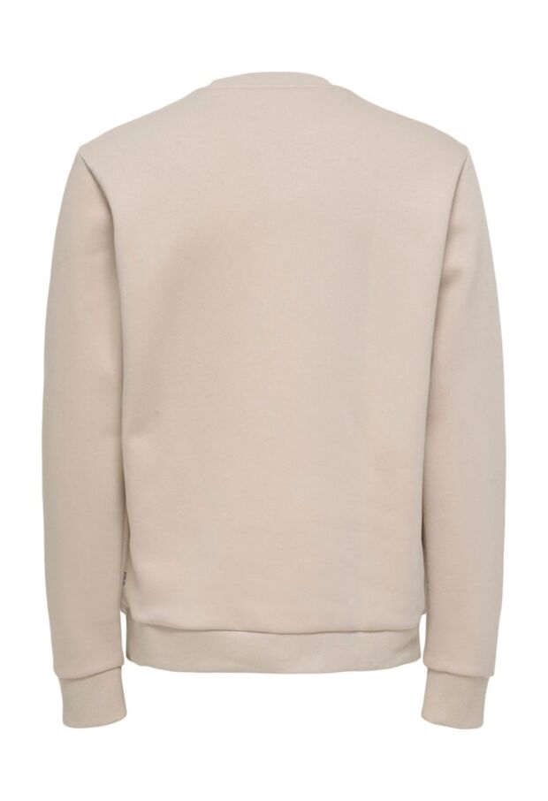 22035226 Silver Lining/EGRET