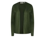 Kleur groen