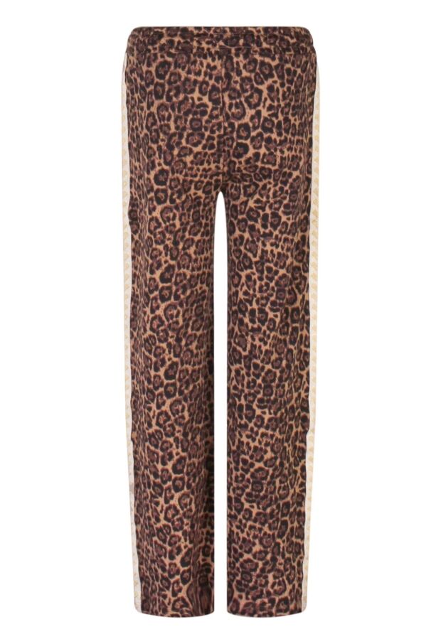 W10041/3110202 Bruin 