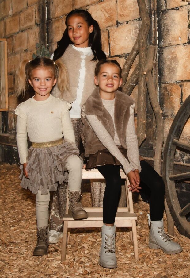 W10045/3110203 champagne